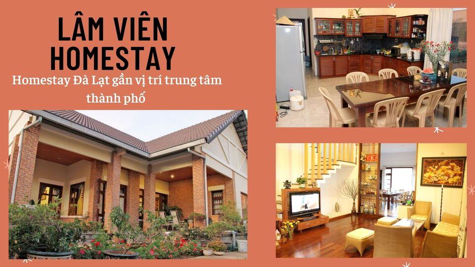 Review 40 căn homestay Đà Lạt giá rẻ đẹp thu hút khách du lịch