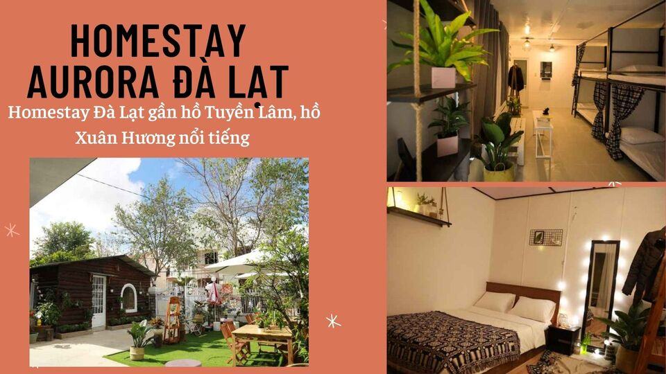 Review 40 căn homestay Đà Lạt giá rẻ đẹp thu hút khách du lịch