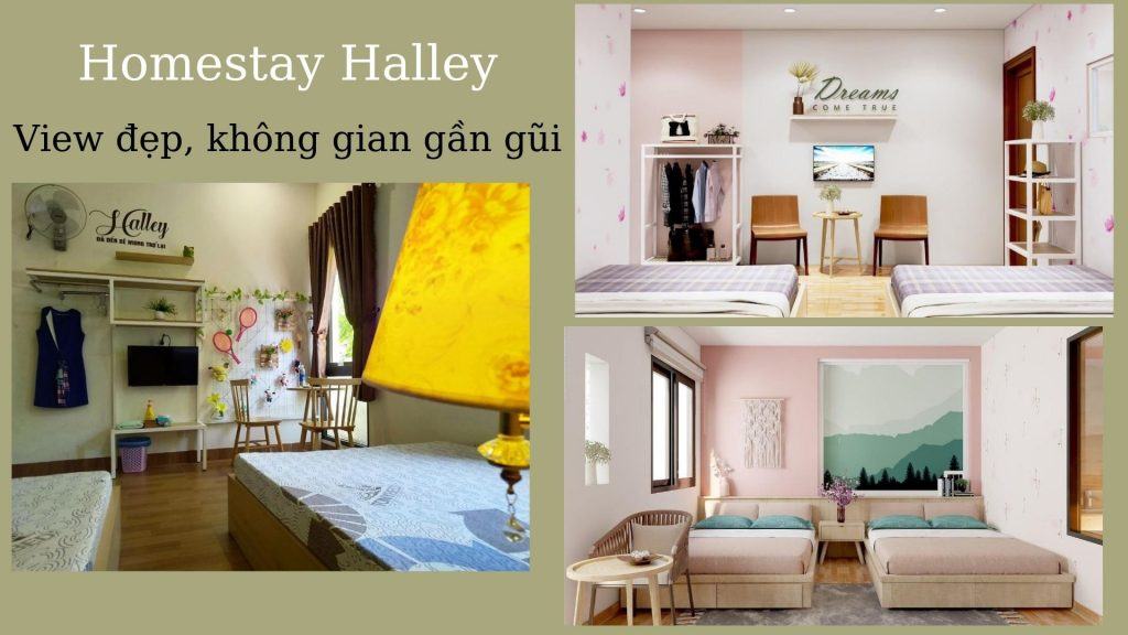Top 30 homestay Đà Nẵng view biển đẹp có hồ bơi gần trung tâm thành phố