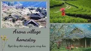 Top 20 homestay Mộc Châu đẹp giá rẻ gần đồi chè trái tim