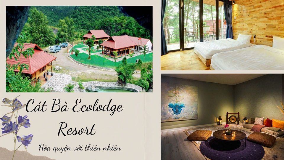 Top 11 resort Cát Bà đẹp giá rẻ sát biển có hồ bơi đẳng cấp 4 - 5 sao