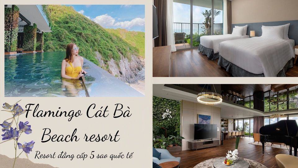 Top 11 resort Cát Bà đẹp giá rẻ sát biển có hồ bơi đẳng cấp 4 - 5 sao