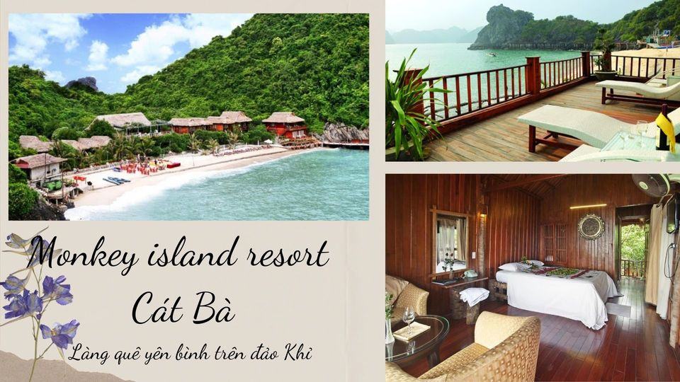 Top 11 resort Cát Bà đẹp giá rẻ sát biển có hồ bơi đẳng cấp 4 - 5 sao