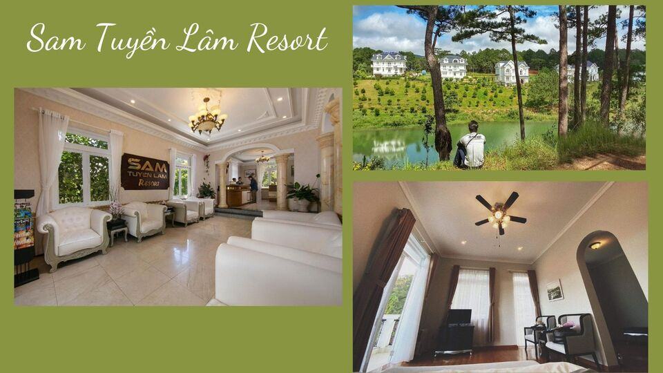 Top 20 resort Đà Lạt giá rẻ gần Hồ Tuyền Lâm view rừng thông tốt nhất