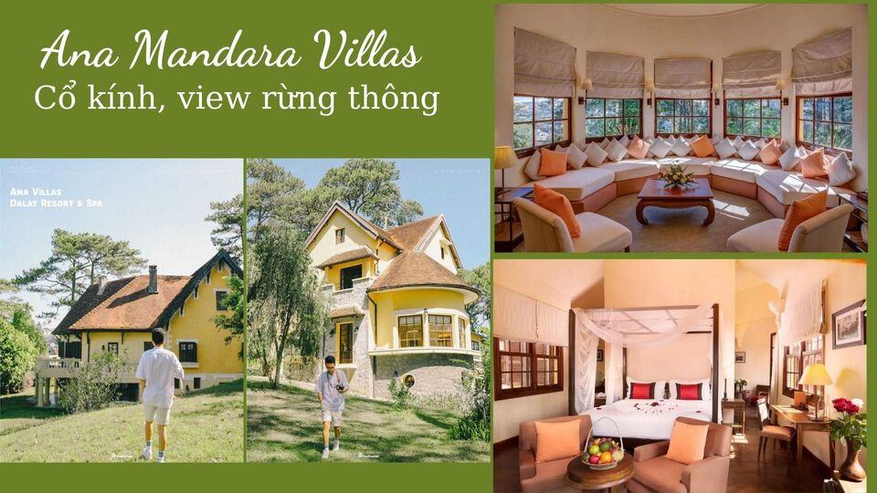 Top 20 resort Đà Lạt giá rẻ gần Hồ Tuyền Lâm view rừng thông tốt nhất