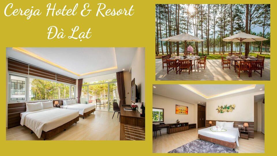 Top 20 resort Đà Lạt giá rẻ gần Hồ Tuyền Lâm view rừng thông tốt nhất