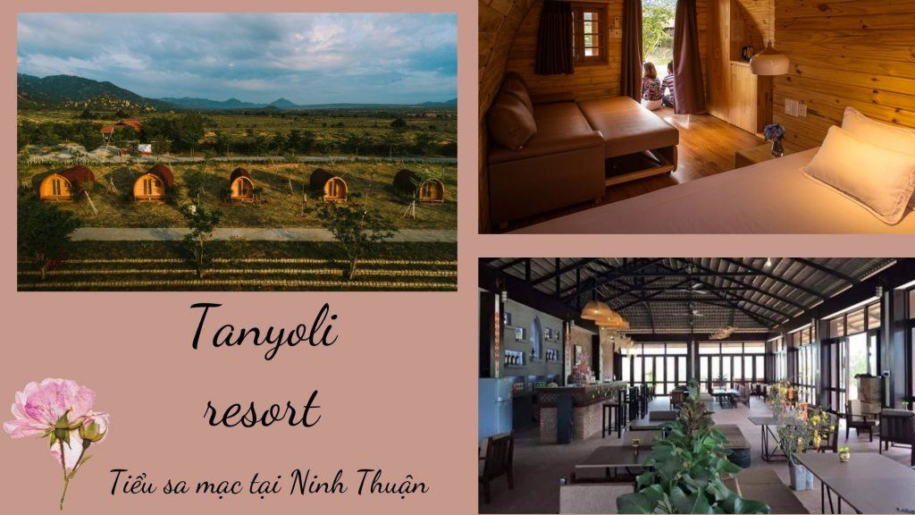 Top 15 resort Ninh Thuận gần biển yên tĩnh đáng nghỉ dưỡng nhất