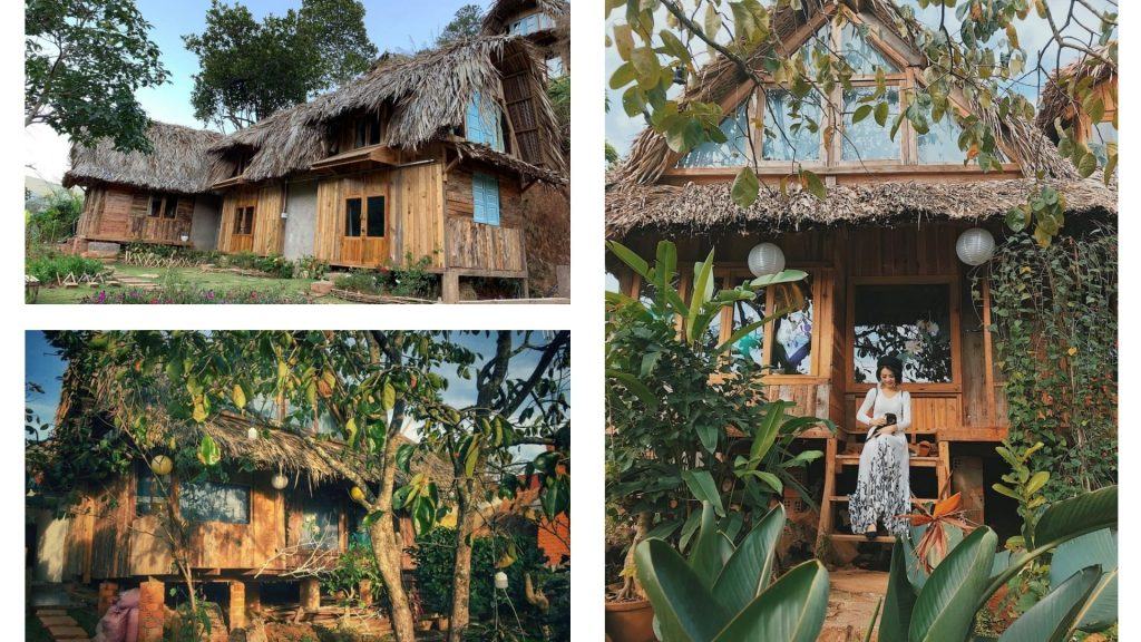 Củi Homestay Đà Lạt: Review chi tiết về căn homestay nổi tiếng Đà Lạt