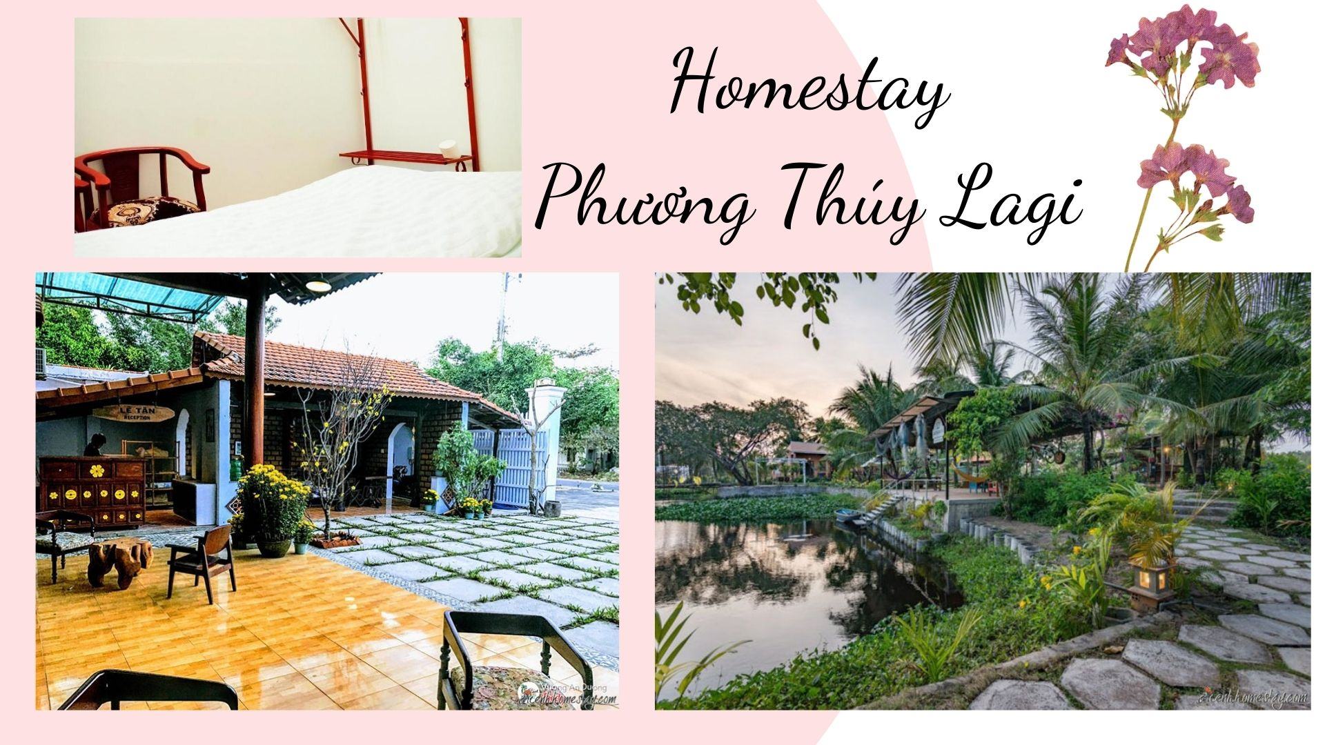 Top 10 homestay Lagi Cam Bình giá rẻ bình dân gần biển