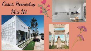 Top 20 Homestay Mũi Né Phan Thiết view biển đẹp nhất