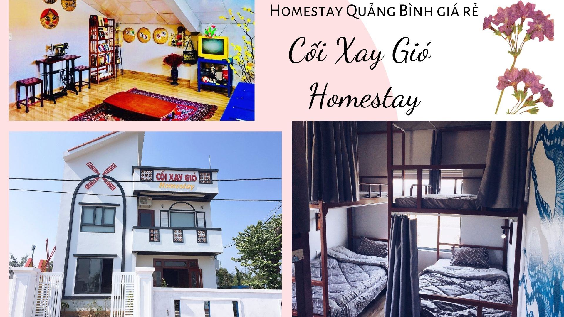 Tổng hợp Top 10 Homestay Quảng Bình Đồng Hới giá rẻ đẹp gần biển và Phong Nha