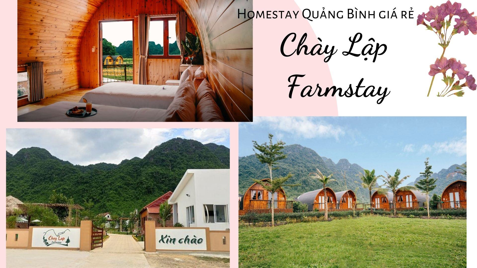 Top 10 Homestay Quảng Bình đẹp gần biển giá rẻ