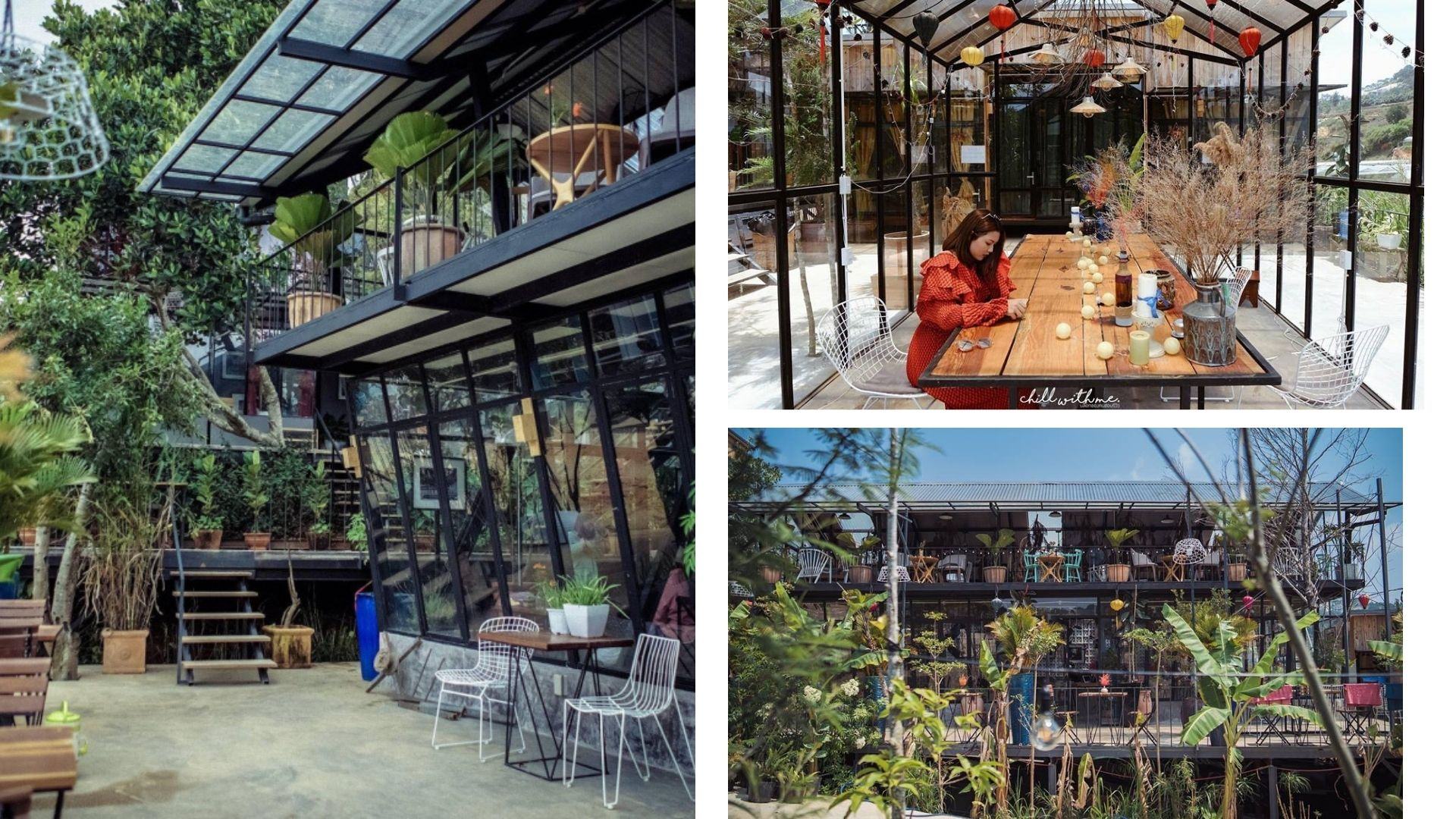 Lalaland homestay Thiên đường nghỉ dưỡng mộng mơ Đà Lạt hấp dẫn du khách