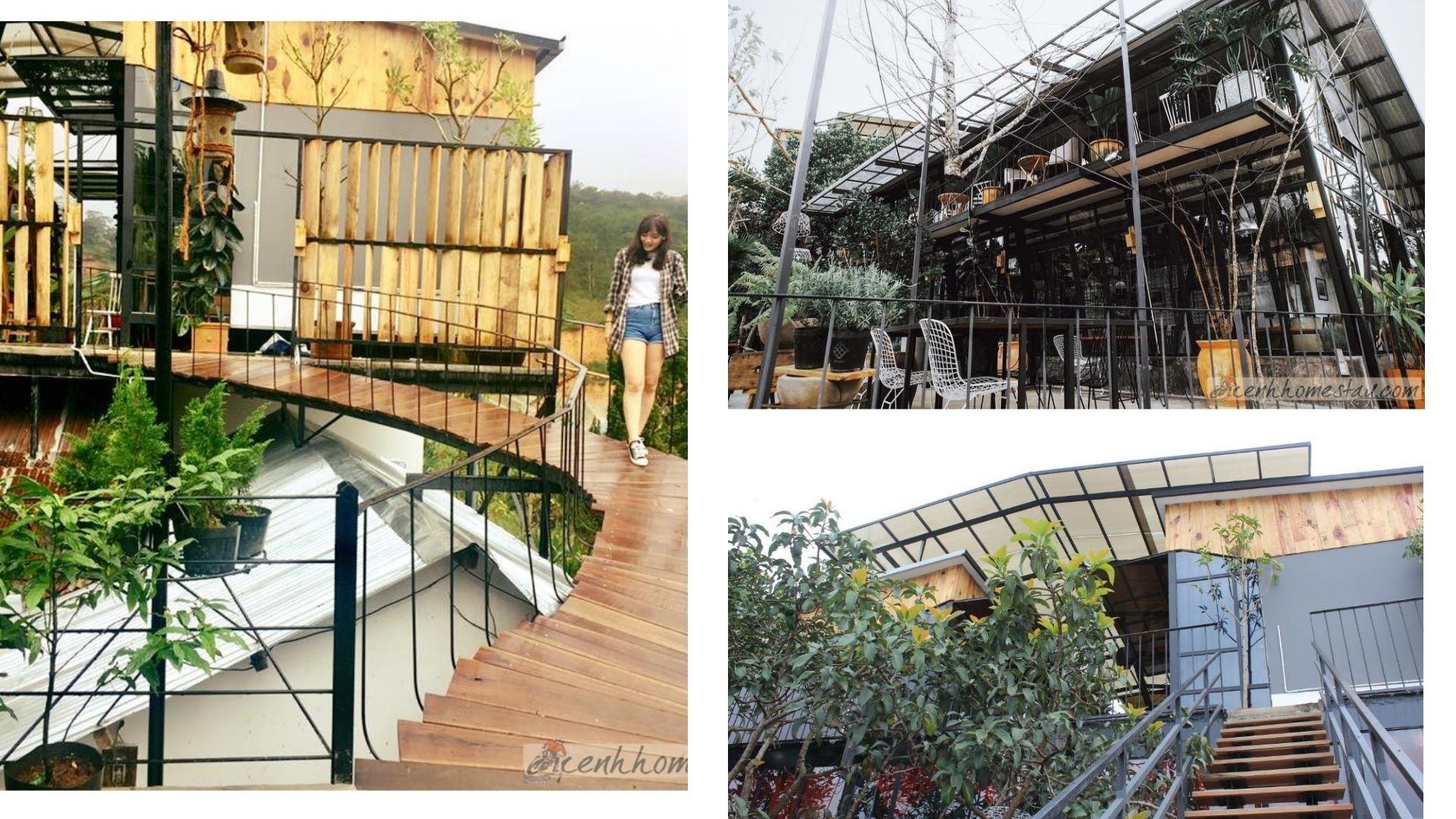 Lalaland homestay Thiên đường nghỉ dưỡng mộng mơ Đà Lạt hấp dẫn du khách