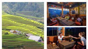 Little Homestay Sapa: Chốn dừng chân bình yên sương mù giăng lối