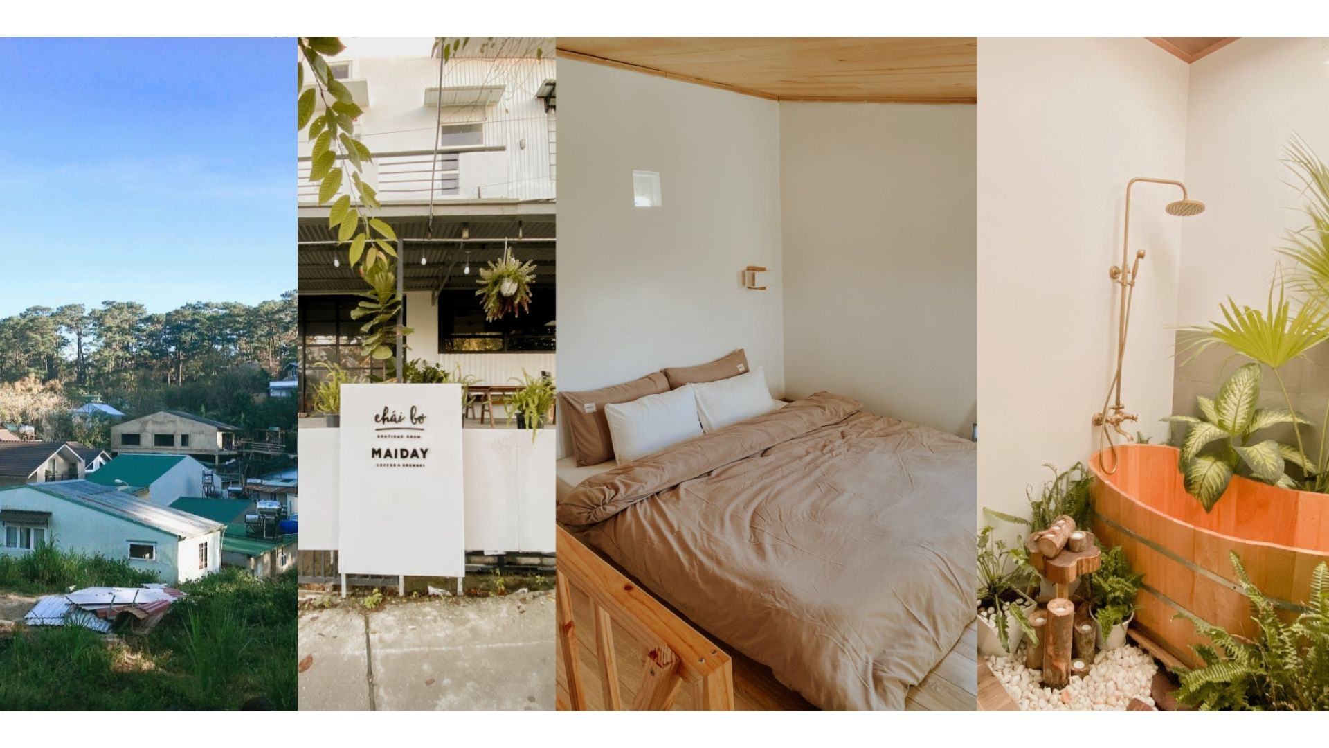 Chái bơ homestay Đà Lạt - góc nhỏ bình yên giữa lòng thành phố