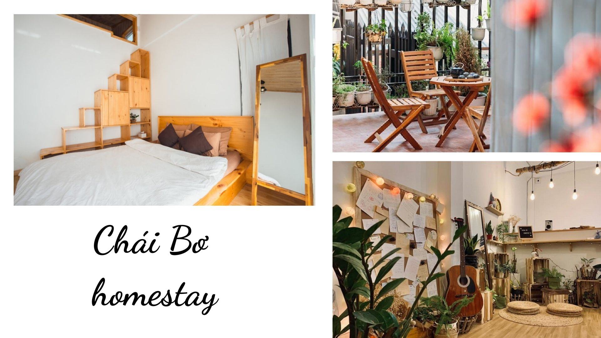 Chái bơ homestay Đà Lạt - góc nhỏ bình yên giữa lòng thành phố