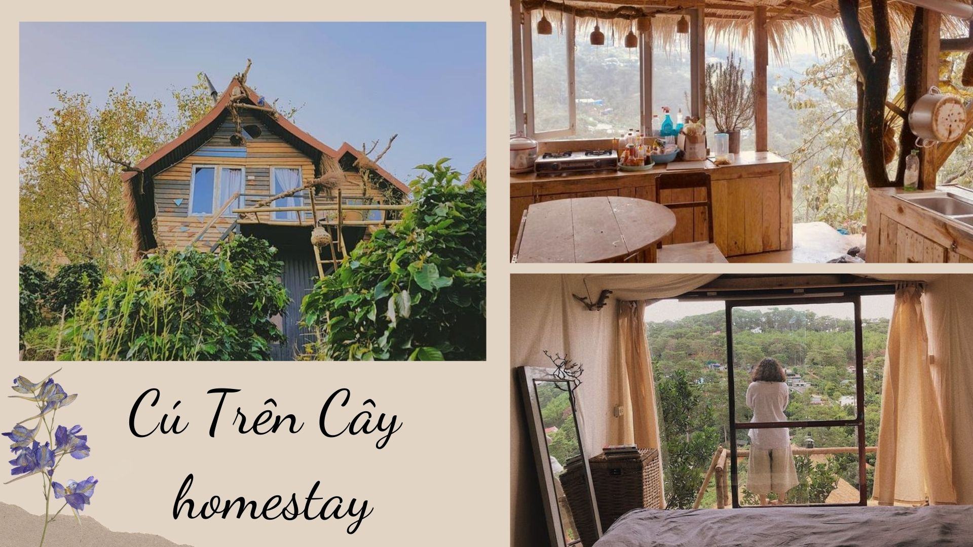 Cú Trên Cây homestay Đà Lạt - "Tổ cú" nhỏ xinh với triệu góc sống ảo