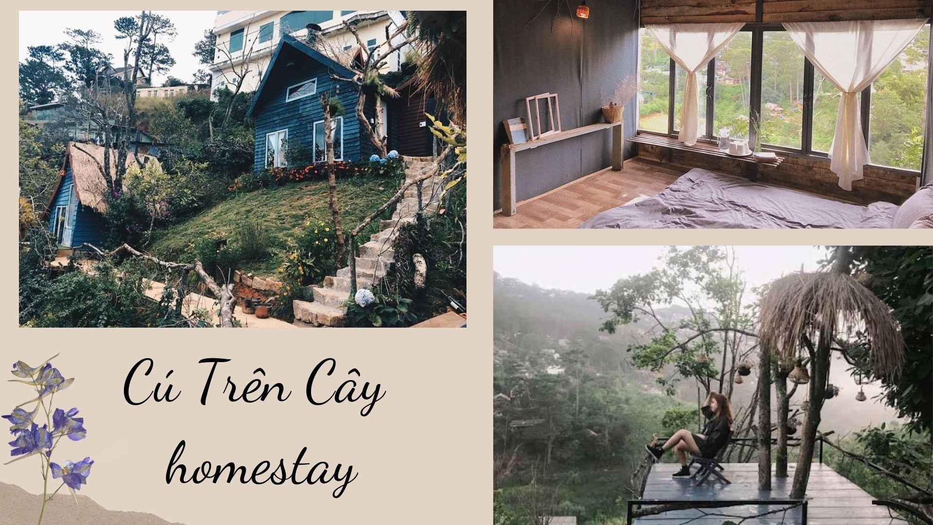Cú Trên Cây homestay Đà Lạt - "Tổ cú" nhỏ xinh với triệu góc sống ảo