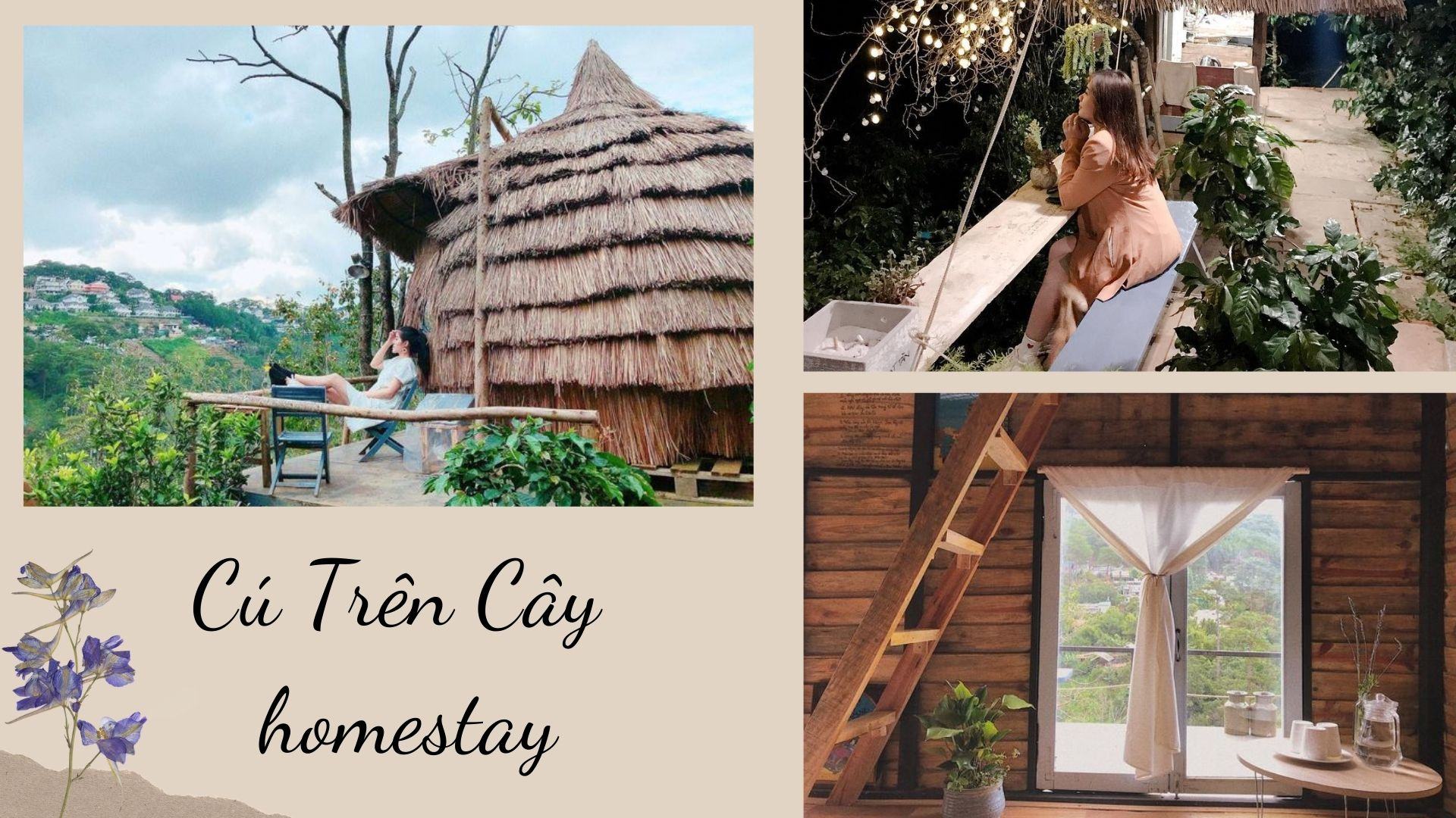 Cú Trên Cây homestay Đà Lạt - "Tổ cú" nhỏ xinh với triệu góc sống ảo