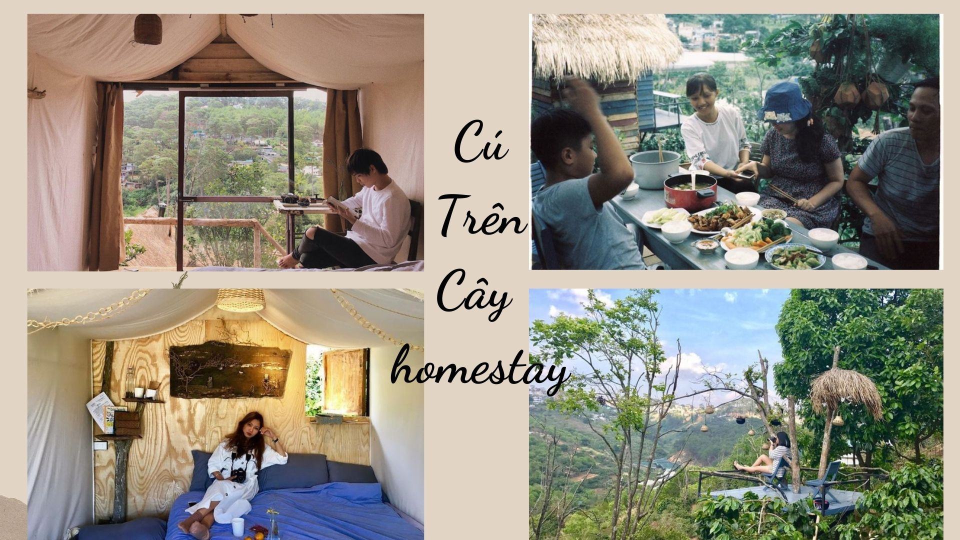 Cú Trên Cây homestay Đà Lạt - "Tổ cú" nhỏ xinh với triệu góc sống ảo