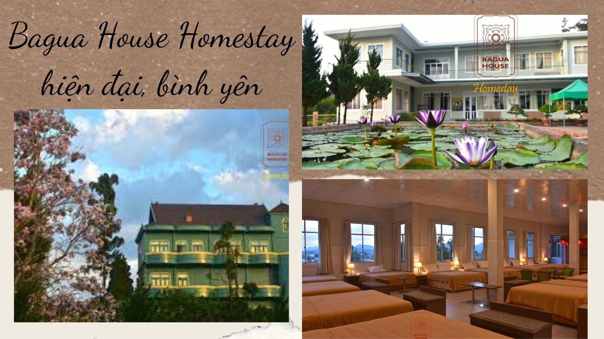 Top 15 căn Homestay Bảo Lộc view đẹp núi rừng giá tốt nhất