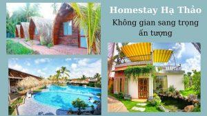 Top 10 homestay Bến Tre giá rẻ view sông nước tuyệt đẹp đậm chất miệt vườn