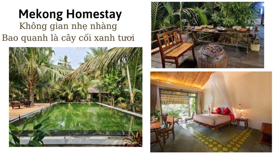 Top 10 homestay Bến Tre giá rẻ view sông nước tuyệt đẹp đậm chất miệt vườn
