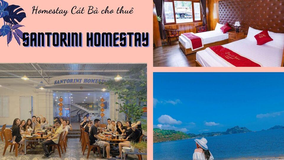 Review 10 homestay Cát Bà gần biển phù hợp cho du lịch nghỉ dưỡng