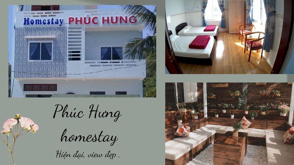 Top 8 homestay Cù Lao Xanh đẹp giá rẻ gần biển đáng lưu trú nhất