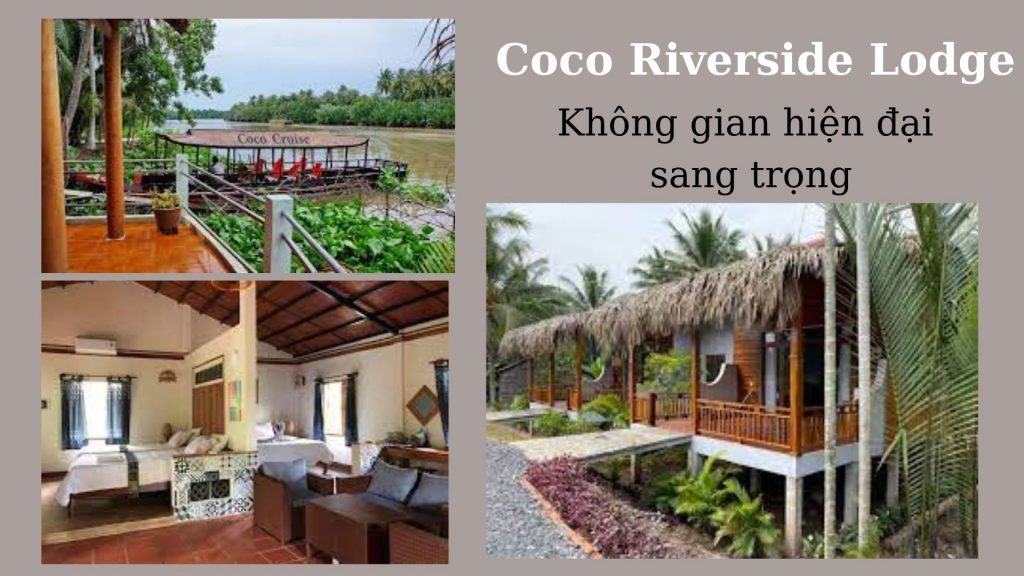 Top 10 homestay gần Sài Gòn giá rẻ nhất không gian xanh cực "chill"