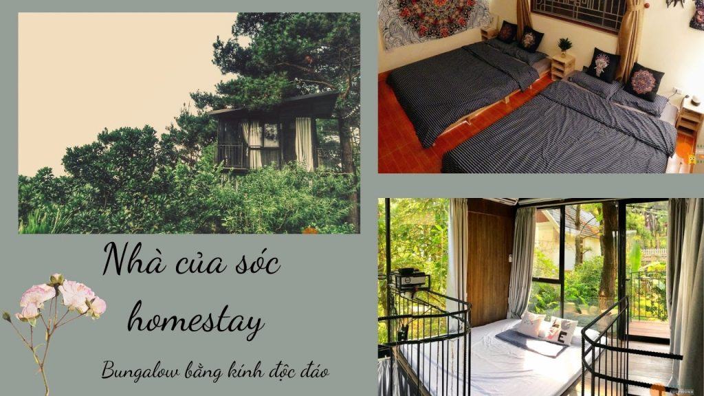 Top 20 homestay gần Hà Nội giá rẻ chưa tới 500k có hồ bơi riêng