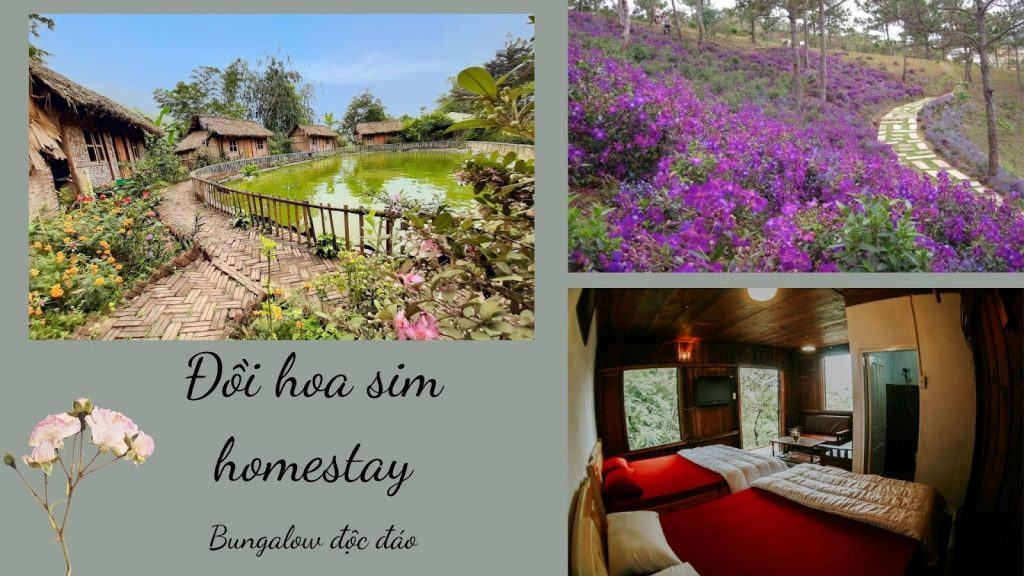 Top 20 homestay gần Hà Nội giá rẻ chưa tới 500k có hồ bơi riêng