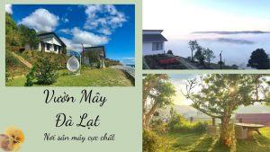 Top 15 homestay Hồ Tuyền Lâm giá rẻ đẹp ngất ngây view đồi thông