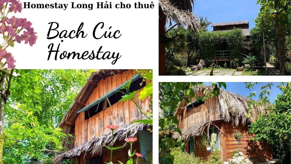 Top 5 homestay Long Hải giá rẻ view thẳng ra biển vô cùng hấp dẫn