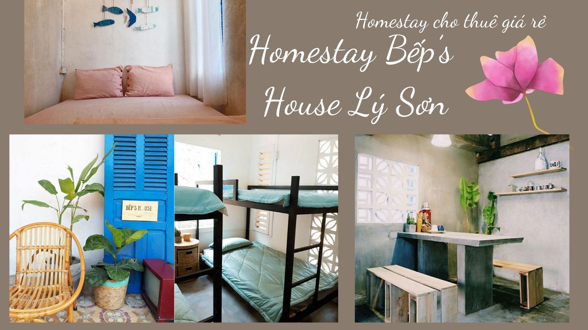 TOP 10 khu Homestay Đảo Lý Sơn giá rẻ chất lượng tốt nhất