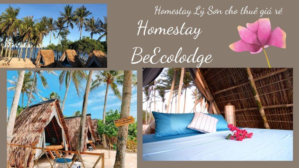 TOP 10 khu Homestay Đảo Lý Sơn giá rẻ chất lượng tốt nhất