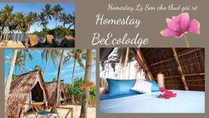 TOP 10 khu Homestay Đảo Lý Sơn giá rẻ chất lượng tốt nhất