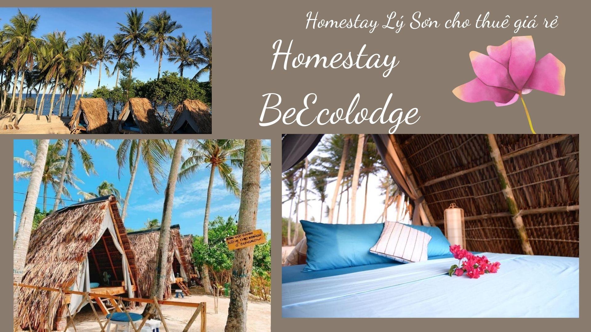 TOP 10 khu Homestay Đảo Lý Sơn giá rẻ chất lượng tốt nhất
