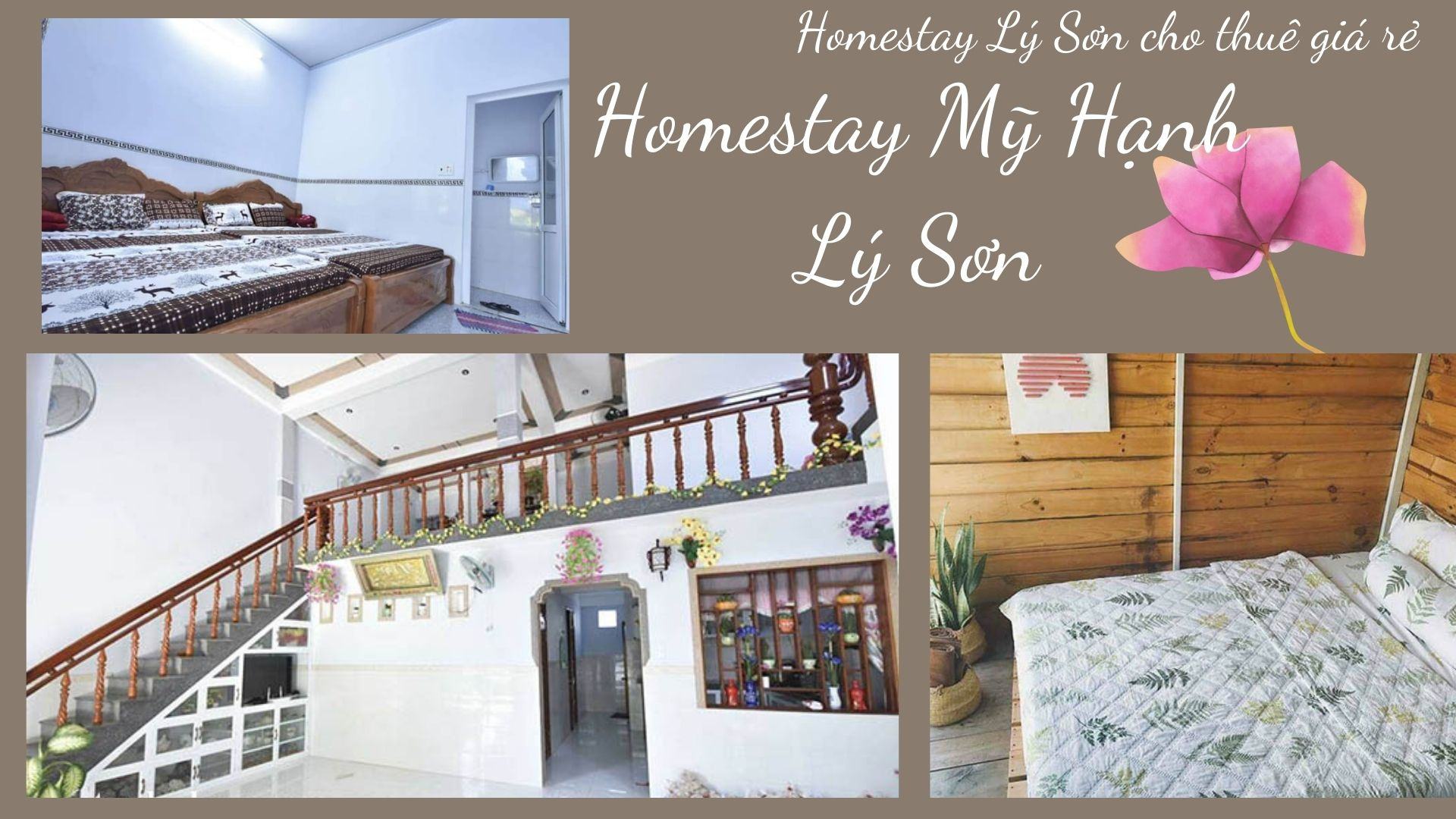 TOP 10 khu Homestay Đảo Lý Sơn giá rẻ chất lượng tốt nhất