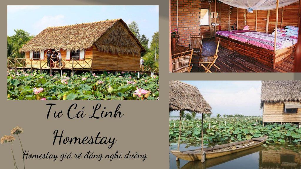 Top trăng tròn homestay miền Tây giá cả tương đối mềm rất đẹp đem hồ nước tập bơi xứng đáng tồn tại nhất