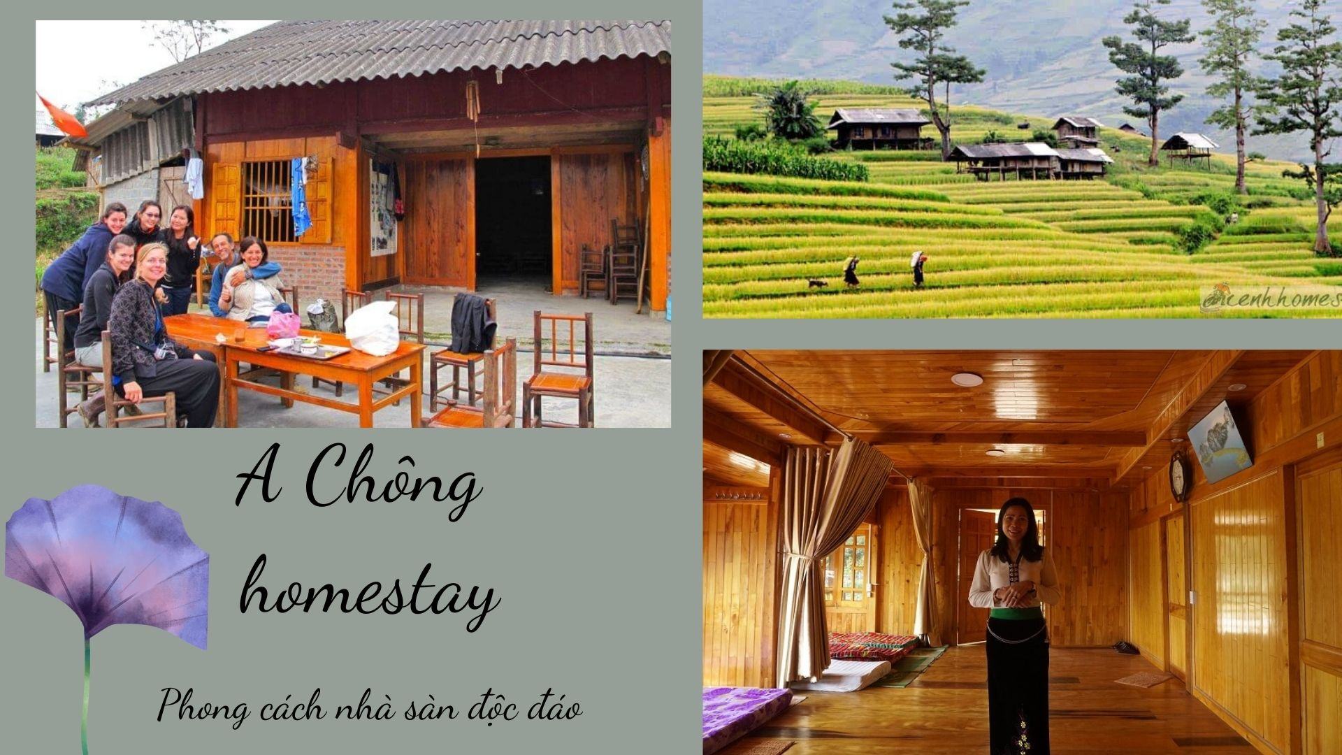 A Chông homestay Mù Cang Chải