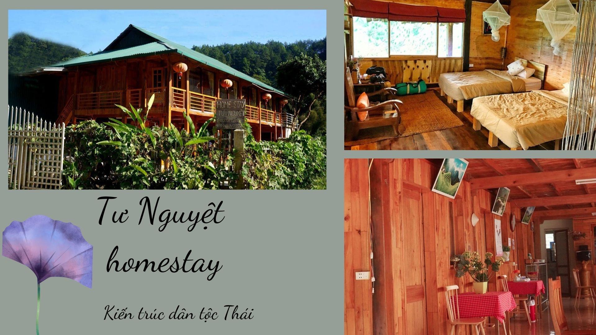 ảnh chụp tư Nguyệt homestay Mù Cang Chải