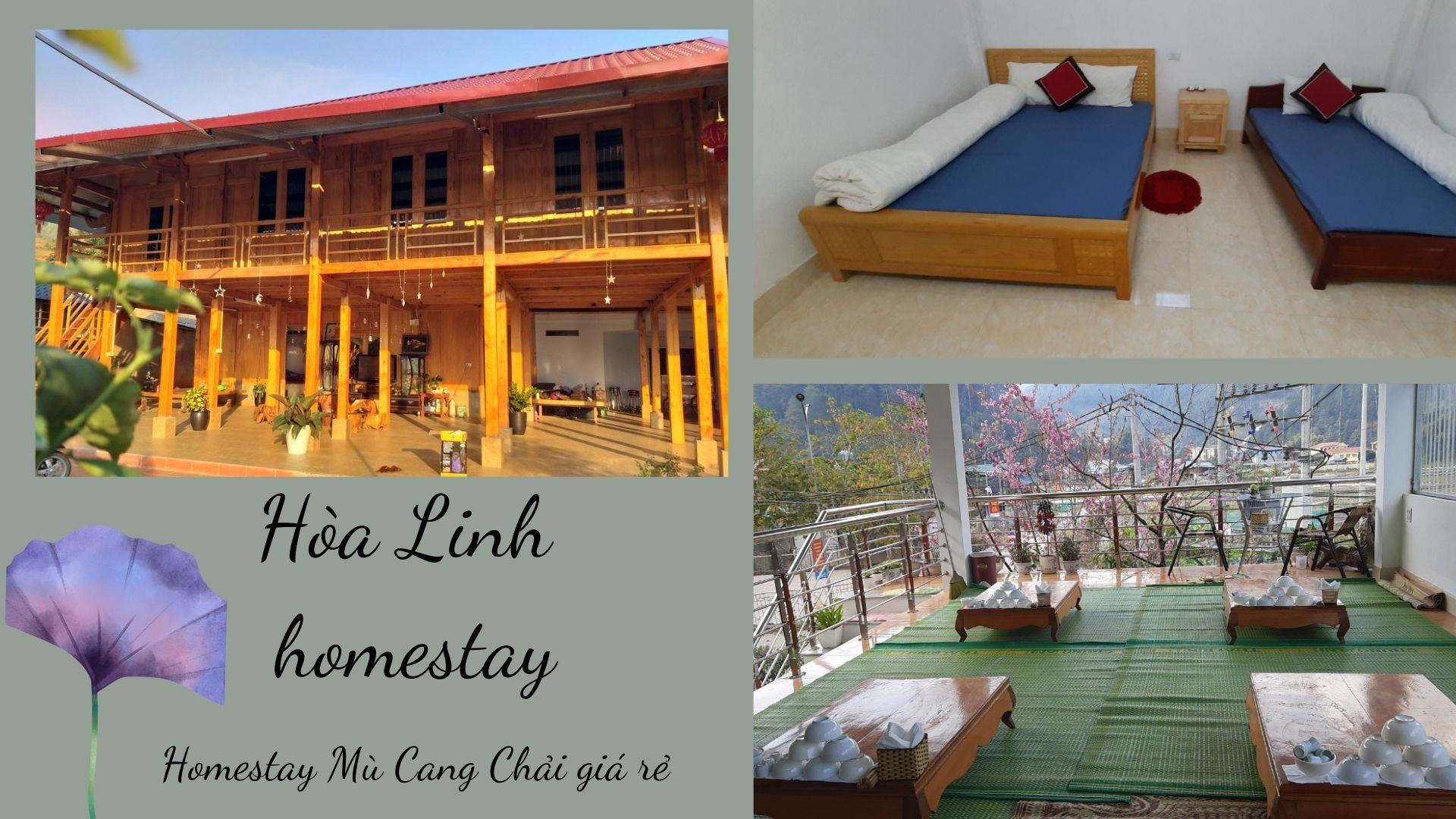 ảnh chụp hoài linh homestay Mù Cang Chải