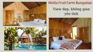 Top 30 homestay Phú Quốc giá rẻ view biển đẹp gần chợ đêm đáng nghỉ dưỡng