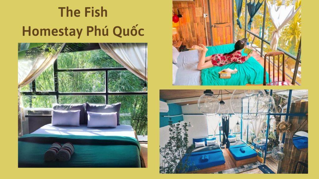 Top 30 homestay Phú Quốc giá rẻ view biển đẹp gần chợ đêm đáng nghỉ dưỡng