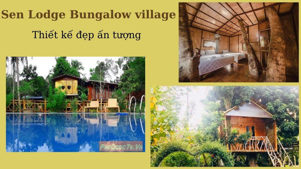 Top 30 homestay Phú Quốc giá rẻ view biển đẹp gần chợ đêm đáng nghỉ dưỡng