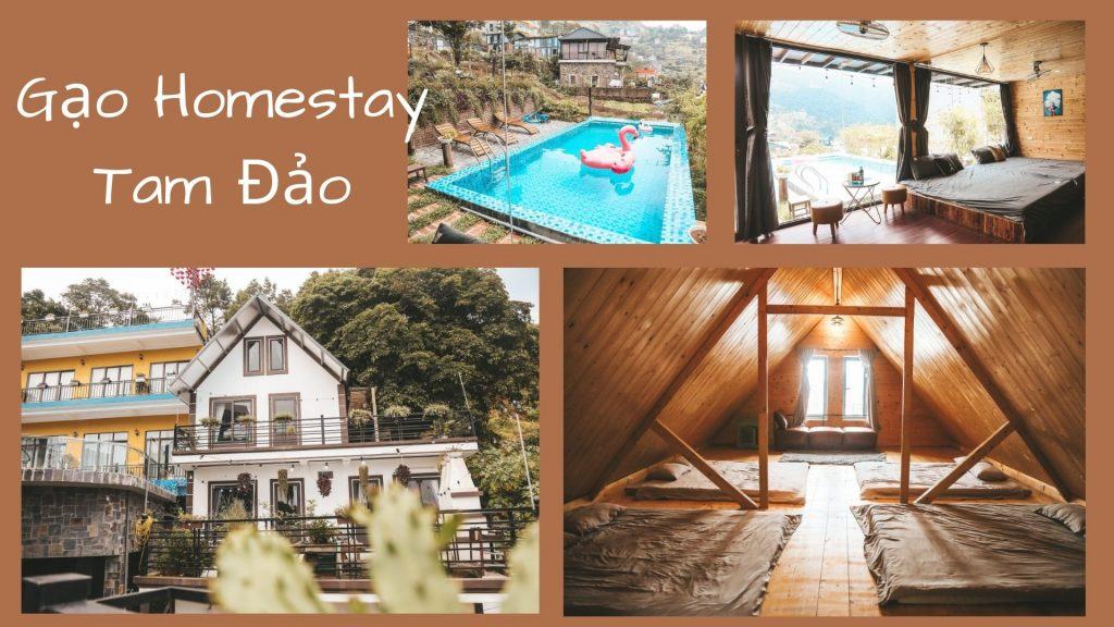 Top 30 căn Homestay Tam Đảo Vĩnh Phúc giá rẻ chất lượng tốt nhất
