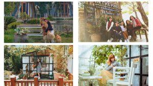 In The Pine homestay Đà Lạt - Chốn thần tiên cổ tích ngoài đợi thực