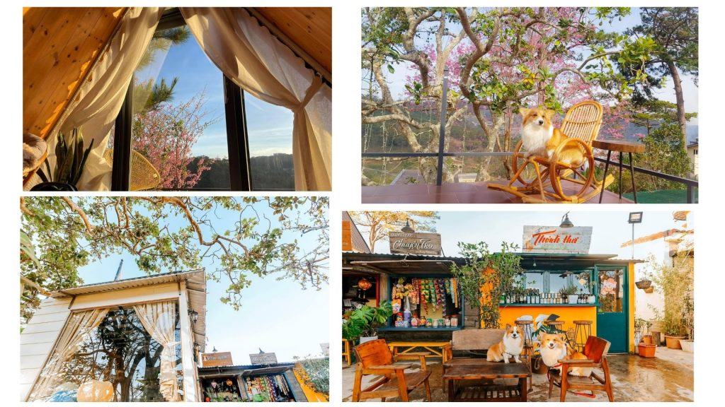Review chi tiết LengKeng homestay Đà Lạt đẹp "mê" lòng người check in cực Hot